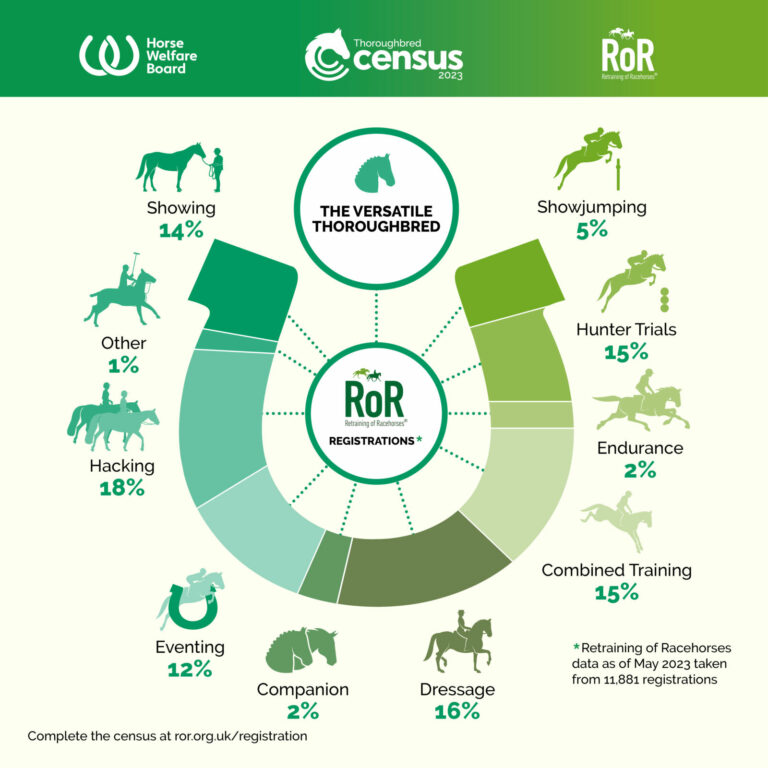 Thoroughbred Census infographic